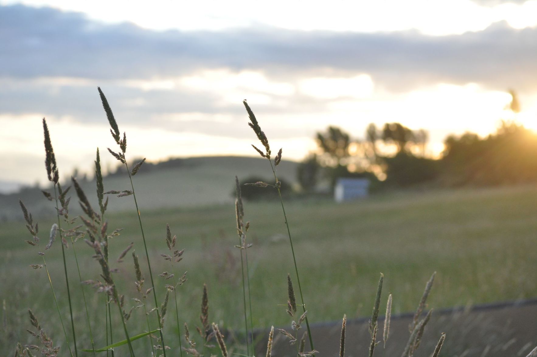 Idaho County sunrise
